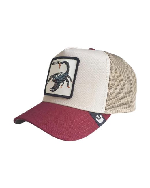 Caps di Goorin Bros in Multicolor