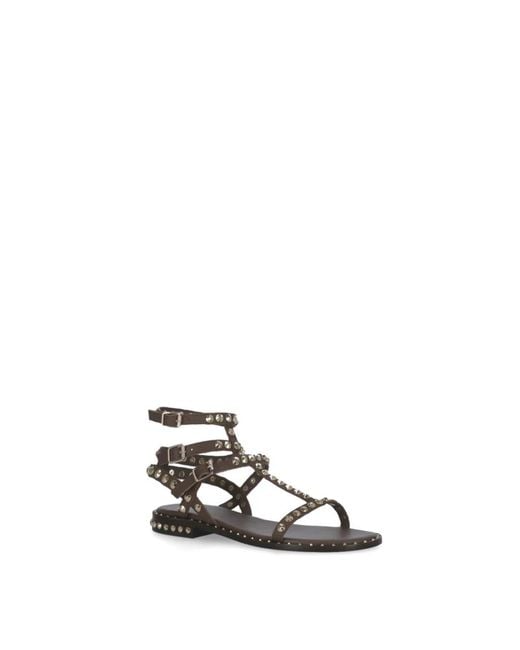 Flat Sandals di Ash in Brown