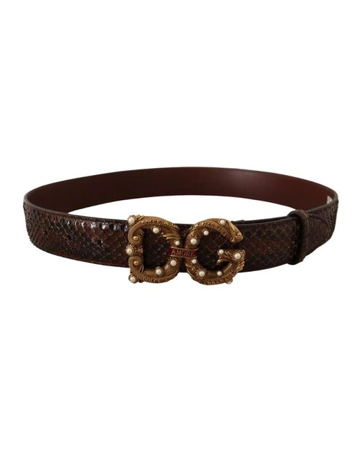 Accessories > belts Dolce & Gabbana en coloris Brown