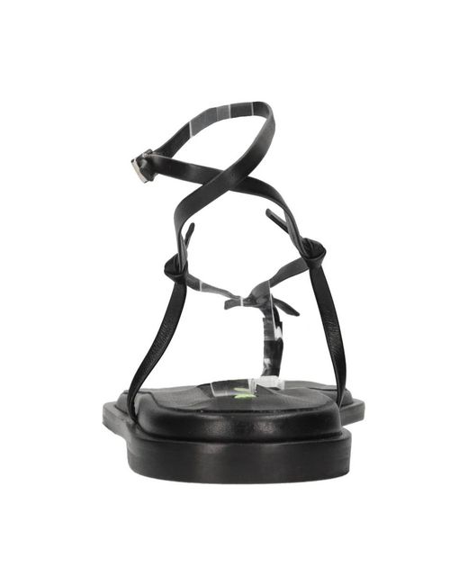 Flat Sandals di MSGM in Black