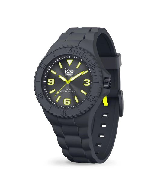 Ice-watch Generation in het Gray