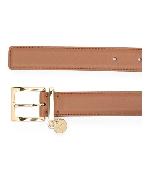 Belts Tod's en coloris Brown