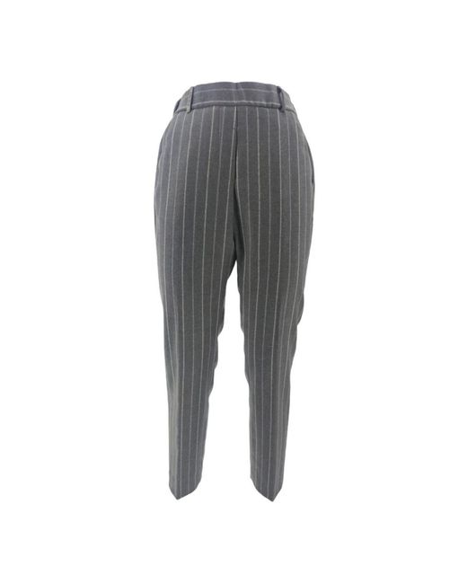Peserico Pantalons in het Gray