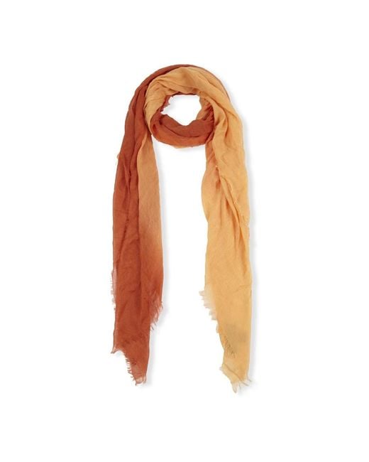 Scarves di Cortana in Orange