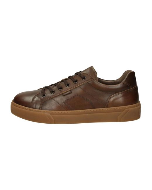 Nero Giardini Brown Sneakers for men