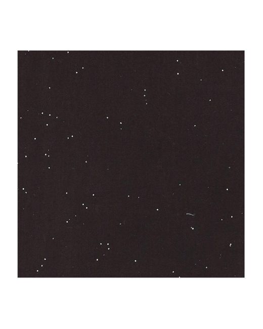 Faliero Sarti Black Winter Scarves