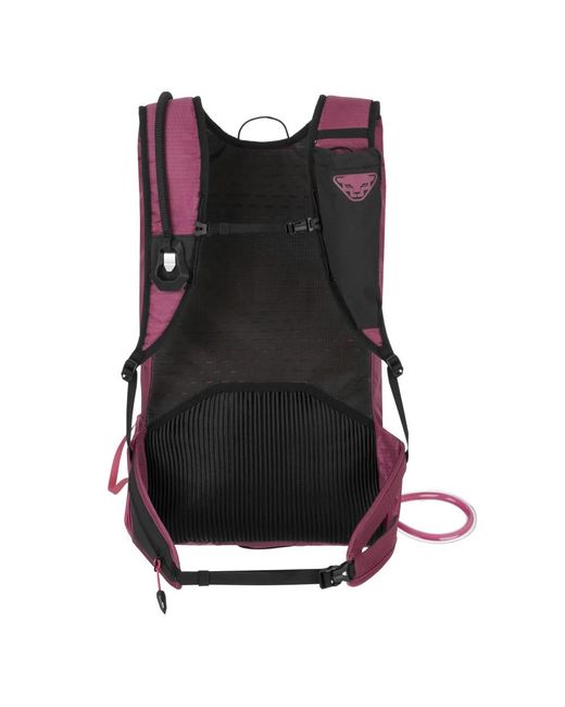 Dynafit Fitness ,Veelkleurig ,Mezzalama 20 in het Purple