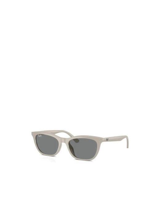 Ray-Ban Gray Sunglasses