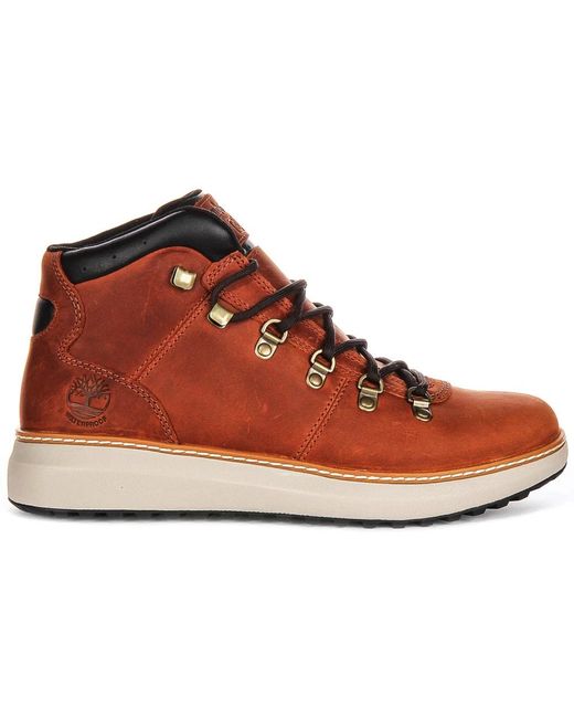 Timberland Brown Lace-Up Boots for men