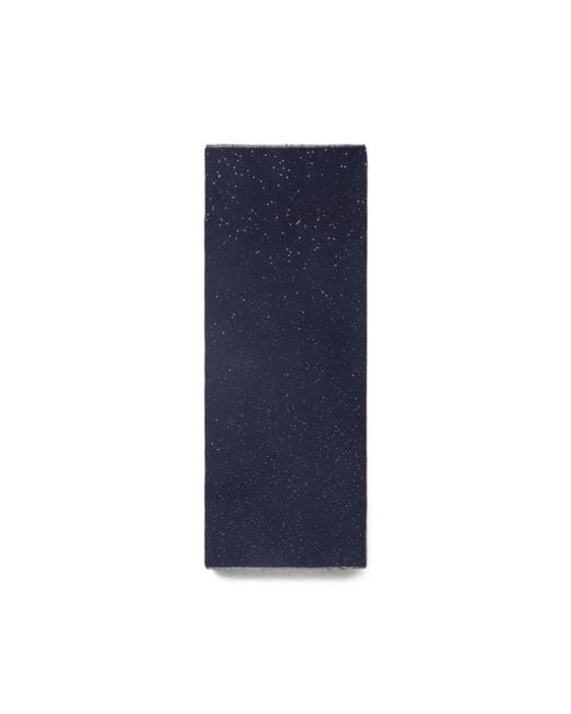 Peserico Blue Winter Scarves