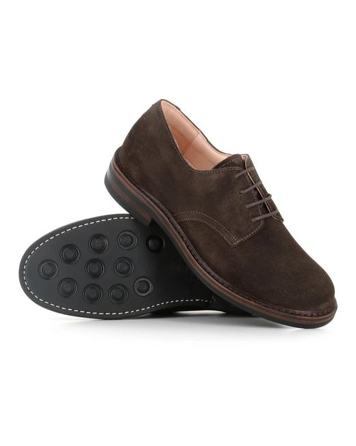 Astorflex Brown Laced Shoes for men