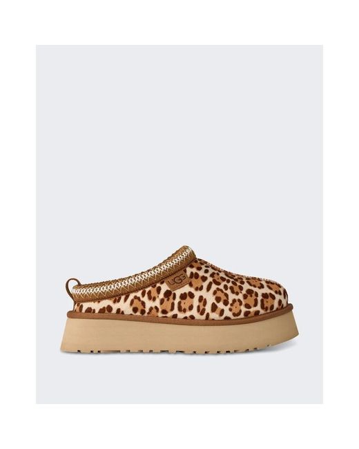 Ugg Schoenen ,Veelkleurig ,Wol Tazz Plains in het Multicolor