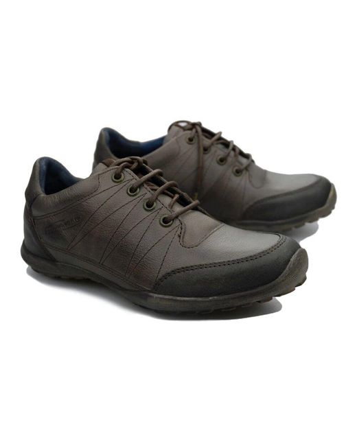 Camel Active Black Sneakers