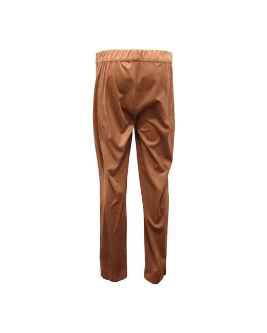 D.exterior Brown Straight Trousers