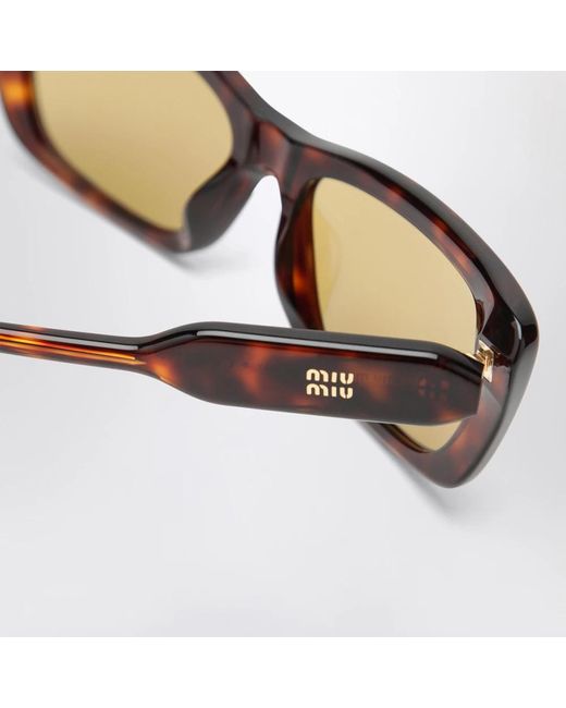 Miu Miu Brown Sunglasses