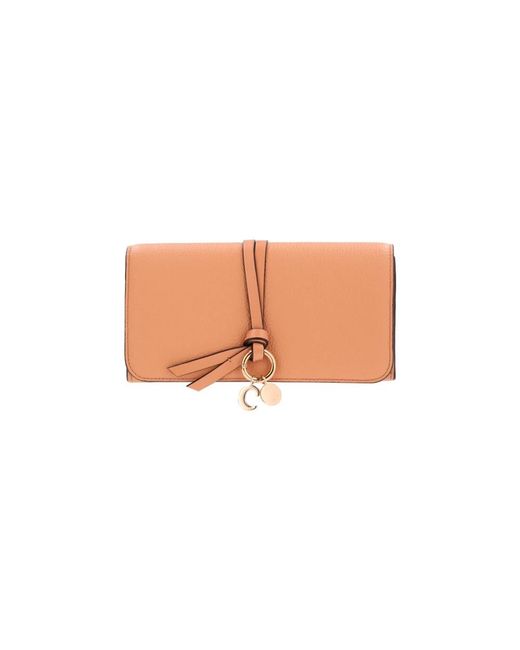 Wallets & Cardholders di Chloé in Natural