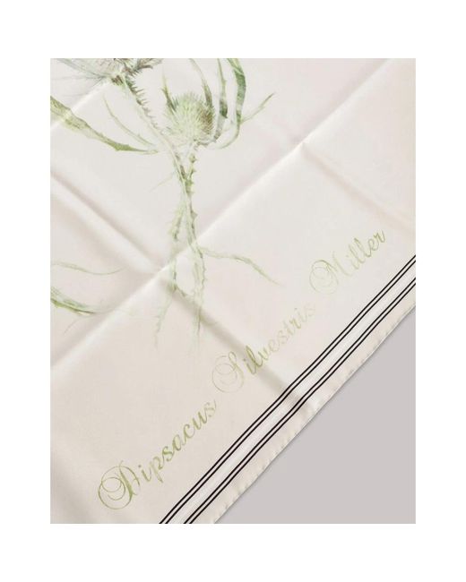 Alberta Ferretti Natural Silk Scarves