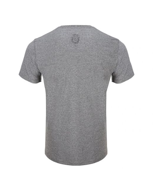 Billionaire Tops ,Grijs ,Katoen T-Shirt Ronde Hals Ss Lion in het Gray voor heren