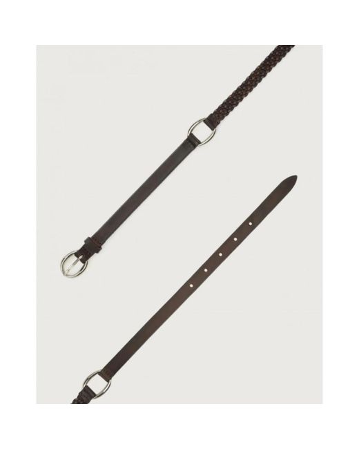 Orciani Brown Belts