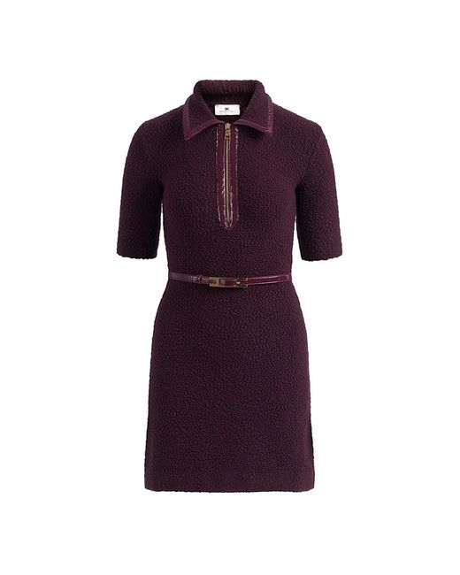 Elisabetta Franchi Purple Short Dresses