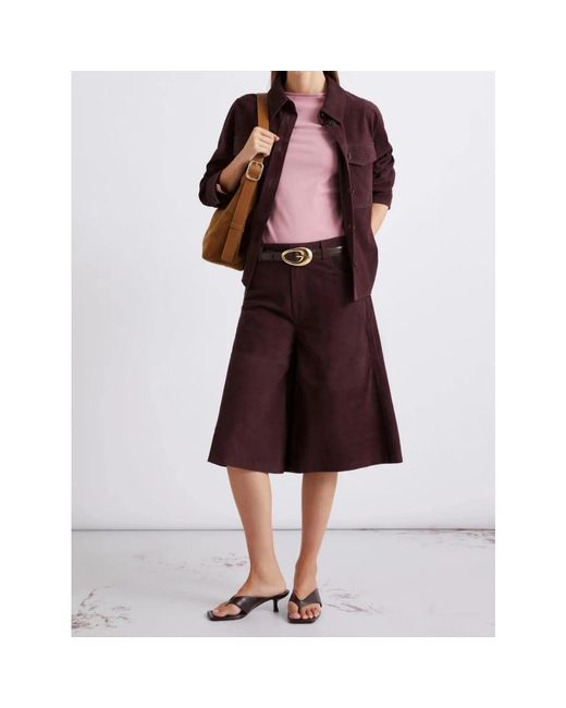 Marella Korte Broeken ,Bruin ,Leer Scoglio Lange Shorts in het Purple