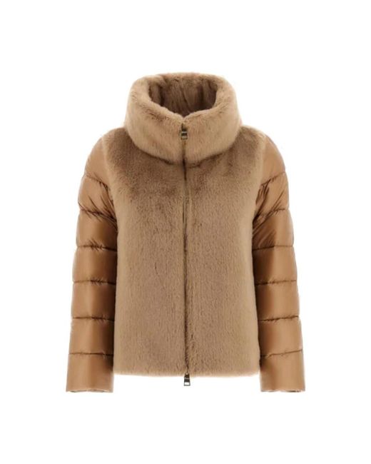 Down Jackets di Herno in Brown