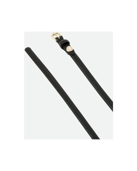 Gianni Chiarini Black Belts