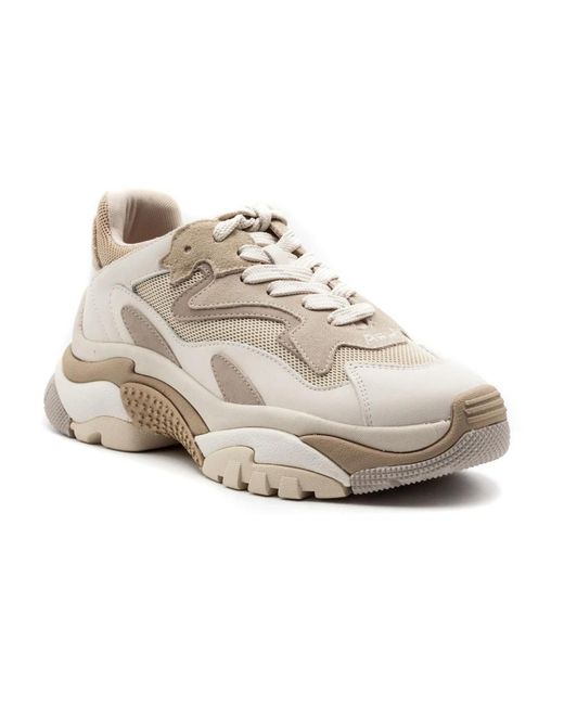 Ash Gray Sneakers