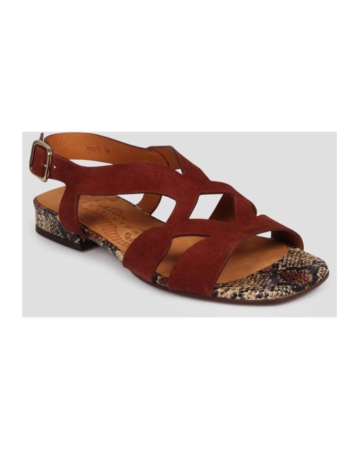 Shoes > sandals > flat sandals Chie Mihara en coloris Brown