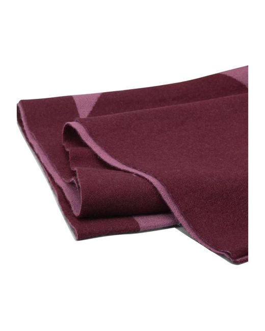 Pinko Purple Winter Scarves