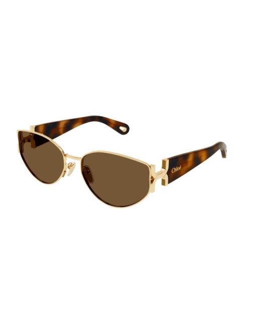 Sunglasses di Chloé in Brown
