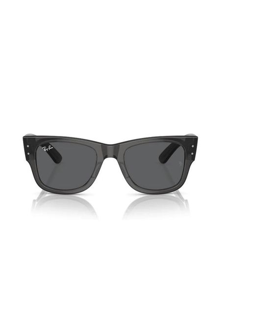 Ray-Ban Gray Sunglasses