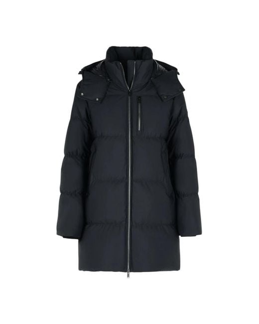 Down Jackets Moose Knuckles en coloris Black