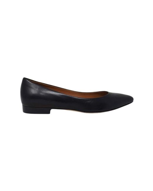 Ballerinas Calpierre de color Black