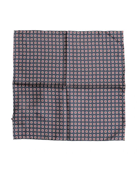 Dolce & Gabbana Purple Handkerchiefs for men