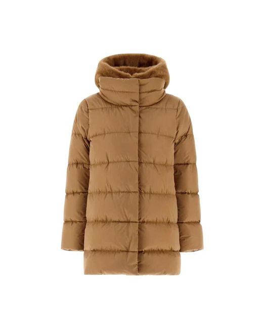 Herno Winter Jackets in het Brown