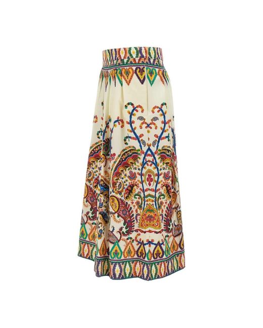 Etro Maxi Skirts in het Multicolor