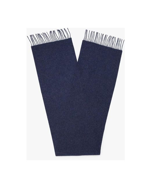 Brooks Brothers Blue Winter Scarves for men