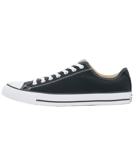 Converse Blue Sneakers