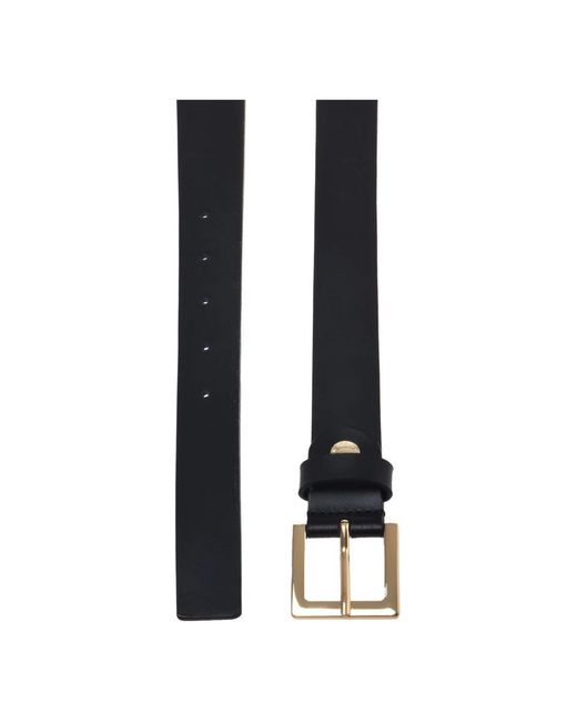 Baldinini Black Belts