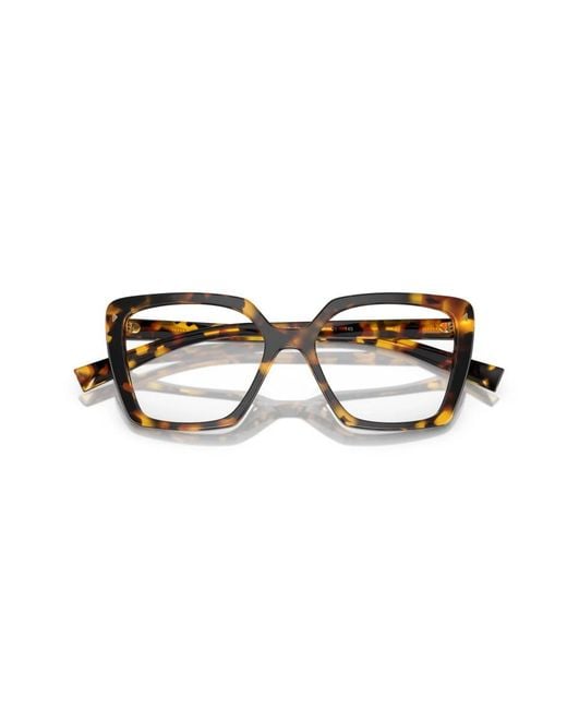 Prada Brown Glasses