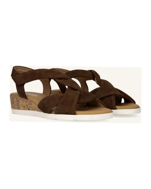 Gabor Brown 761 Flat Sandal