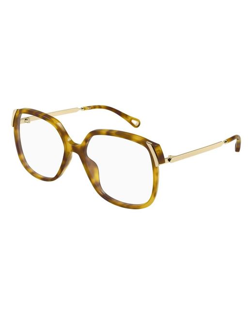 Chloé Brown Glasses