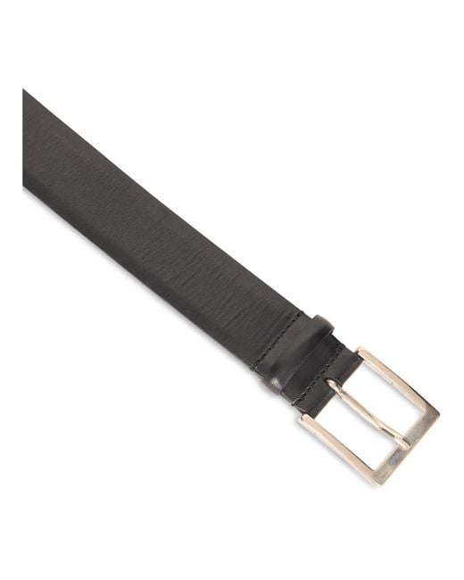 Alberta Ferretti Gray Belts