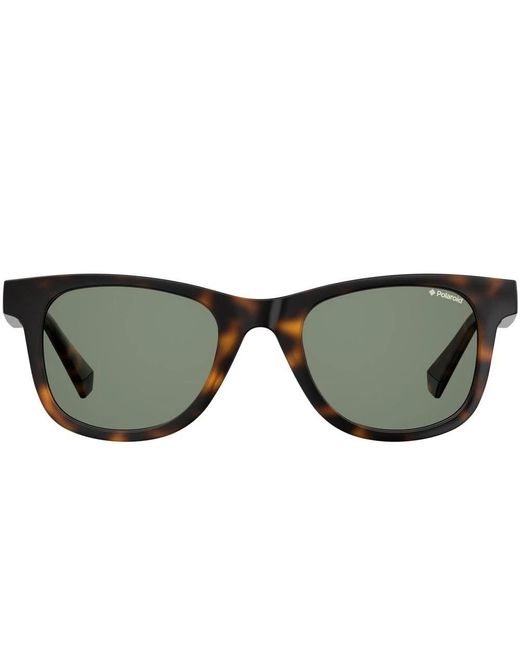 Polaroid Brown Sunglasses for men