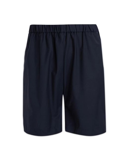 Brian Dales Blue Casual Shorts for men