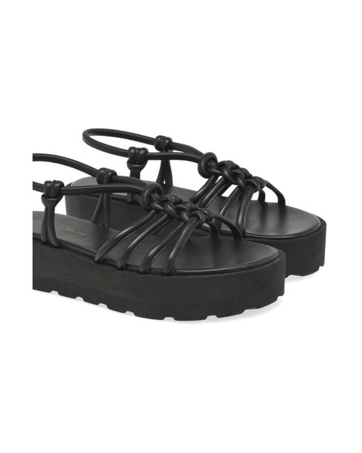 Gianvito Rossi Black Flat Sandals