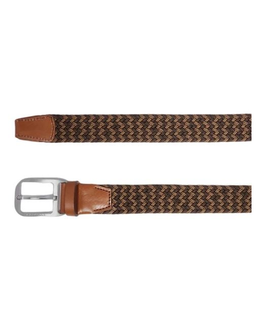 Piquadro Brown Belts for men