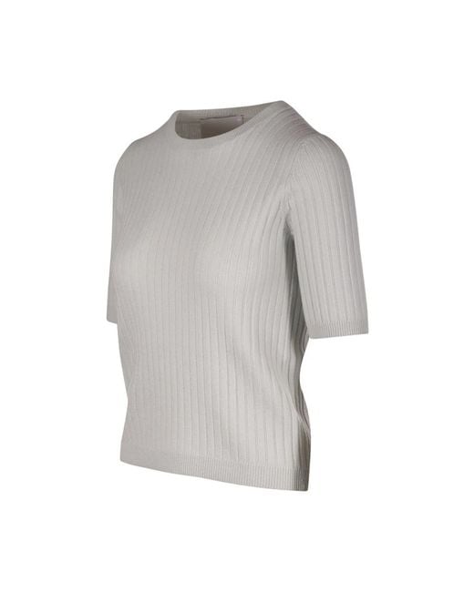 Allude Gray Cashmere Knitwear