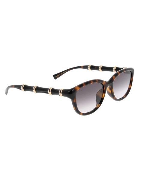 Gucci Brown Sunglasses